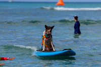 Duke's Oceanfest 21Aug25-05987