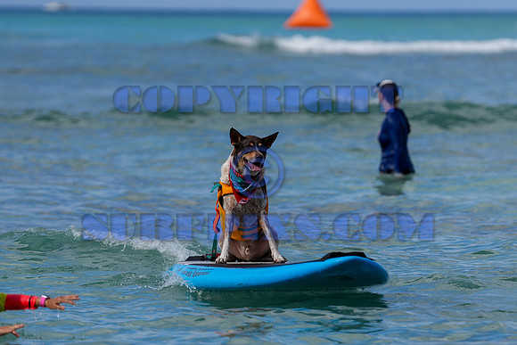 Duke's Oceanfest 21Aug25-05987