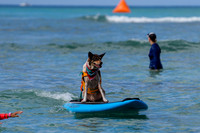 Duke's Oceanfest 21Aug25-05986