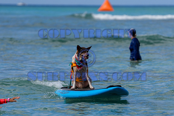 Duke's Oceanfest 21Aug25-05986