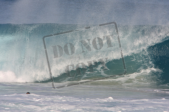 Dasher 12.8.10-83