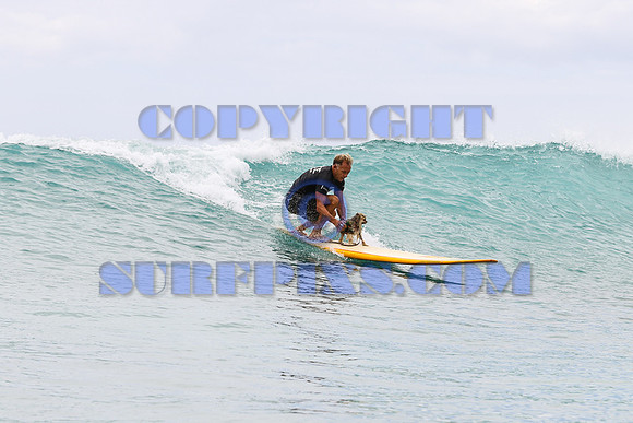 Duke's 2017 Dogs-172