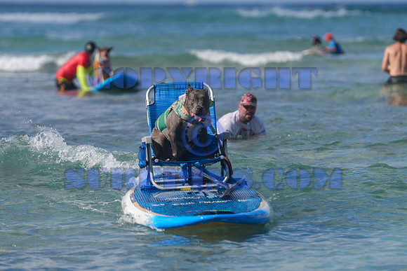 Duke's Oceanfest 21Aug25-05963