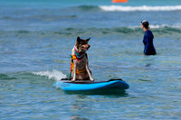 Duke's Oceanfest 21Aug25-05983