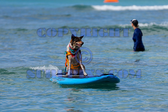 Duke's Oceanfest 21Aug25-05983