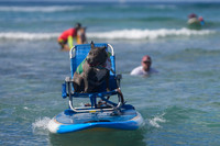 Duke's Oceanfest 21Aug25-05971