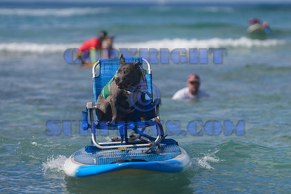Duke's Oceanfest 21Aug25-05971