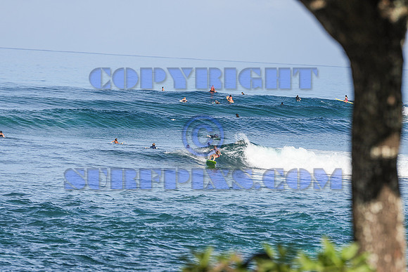 Chuns 9Jan2026 e-02484