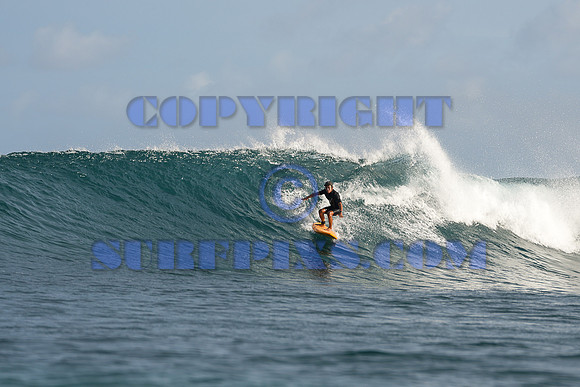 Chuns 24JAN26 e-01294