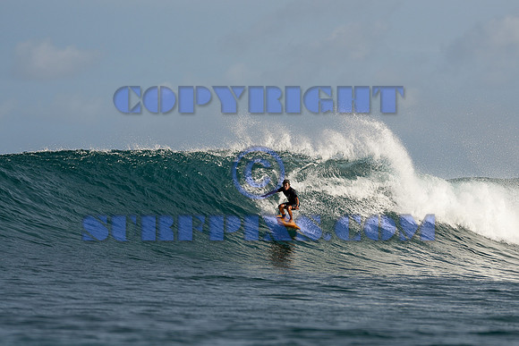 Chuns 24JAN26 e-01295