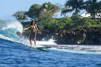 Turtle Bay 25JAN26