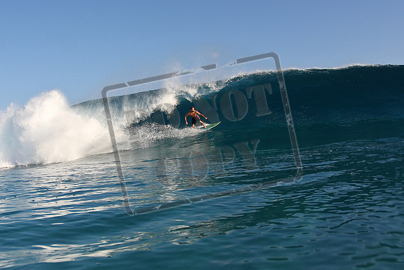 Dasher 12.8.10-1