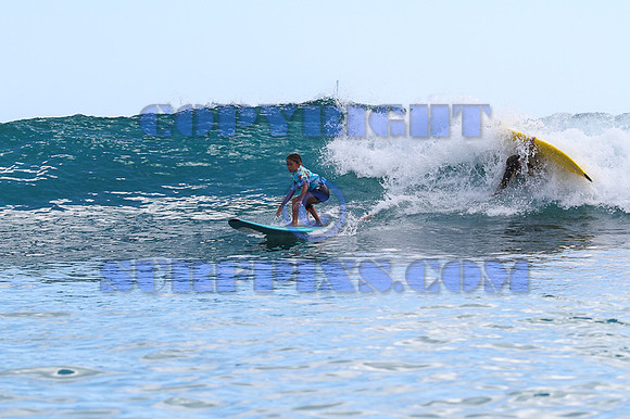 Rabbit Kekai 8.18.12-14