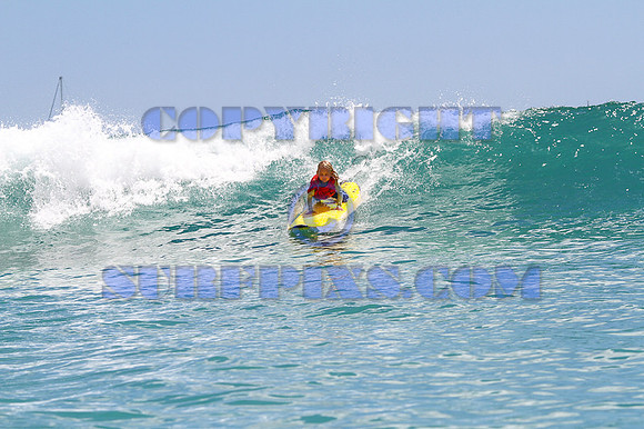 Rabbit Kekai 8.18.12-98