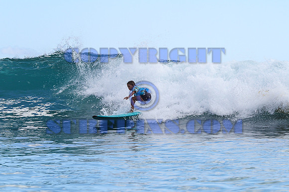 Rabbit Kekai 8.18.12-18
