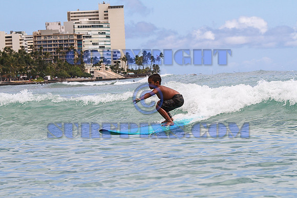 Rabbit Kekai 8.18.12-553