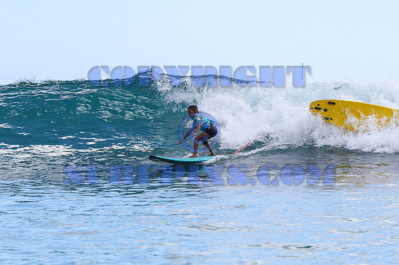 Rabbit Kekai 8.18.12-16