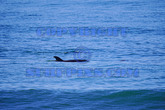 Churches 22Mar22-02359