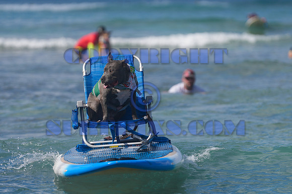 Duke's Oceanfest 21Aug25-05972
