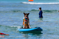 Duke's Oceanfest 21Aug25-05989