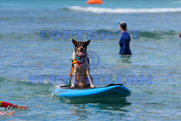 Duke's Oceanfest 21Aug25-05989