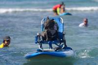 Duke's Oceanfest 21Aug25