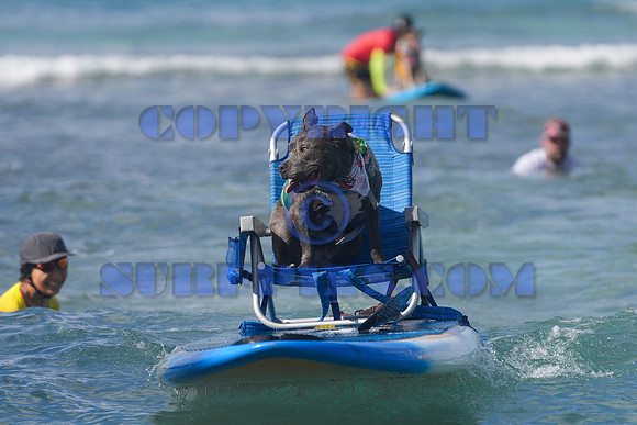Duke's Oceanfest 21Aug25-05977