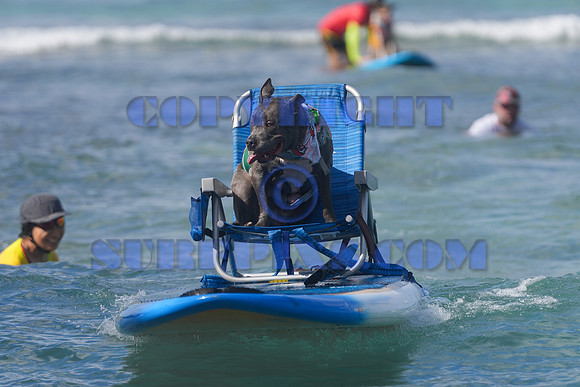 Duke's Oceanfest 21Aug25-05978