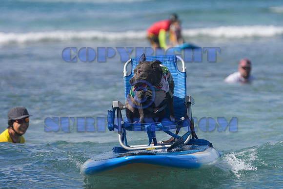 Duke's Oceanfest 21Aug25-05976