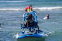 Duke's Oceanfest 21Aug25-05974