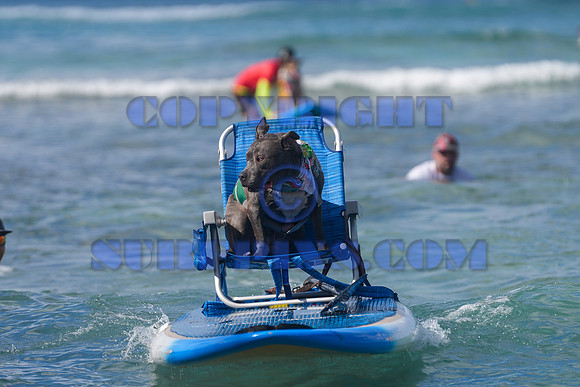 Duke's Oceanfest 21Aug25-05974