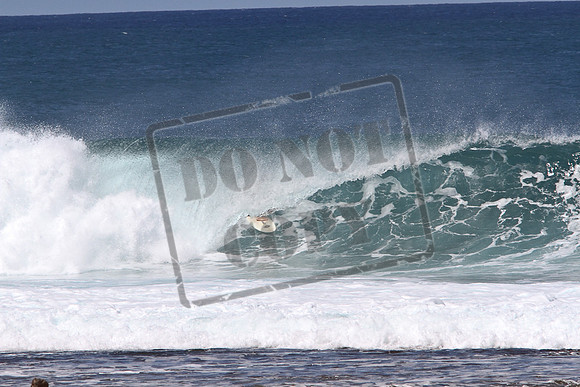 Rocky's 3.13.11-783