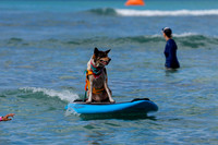 Duke's Oceanfest 21Aug25-05985