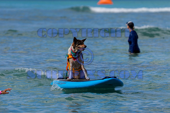 Duke's Oceanfest 21Aug25-05985