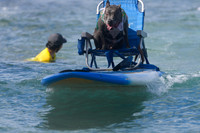 Duke's Oceanfest 21Aug25-05981