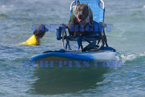 Duke's Oceanfest 21Aug25-05981