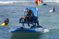 Duke's Oceanfest 21Aug25-05979
