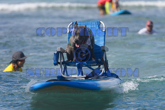 Duke's Oceanfest 21Aug25-05979