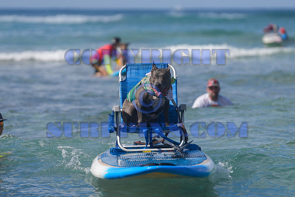 Duke's Oceanfest 21Aug25-05969