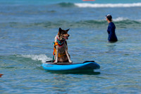 Duke's Oceanfest 21Aug25-05984