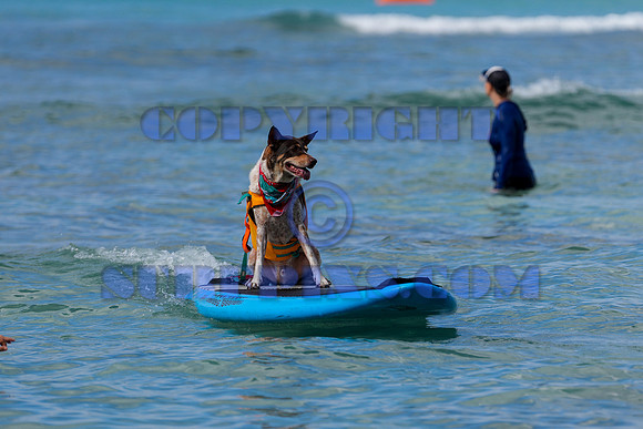 Duke's Oceanfest 21Aug25-05984