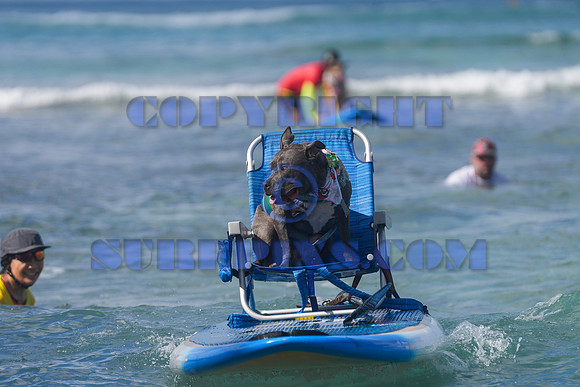 Duke's Oceanfest 21Aug25-05975