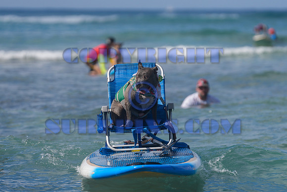 Duke's Oceanfest 21Aug25-05970