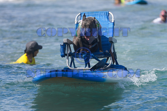 Duke's Oceanfest 21Aug25-05980