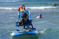 Duke's Oceanfest 21Aug25-05973