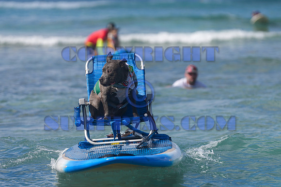 Duke's Oceanfest 21Aug25-05973